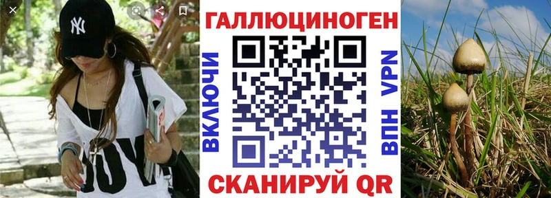 Купить  Суворов  Галлюциногенные грибы ЛСД 