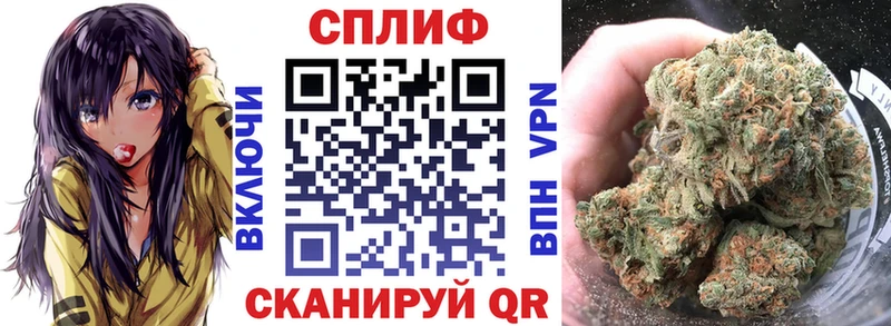 Каннабис ГИДРОПОН  Купить  Суворов 